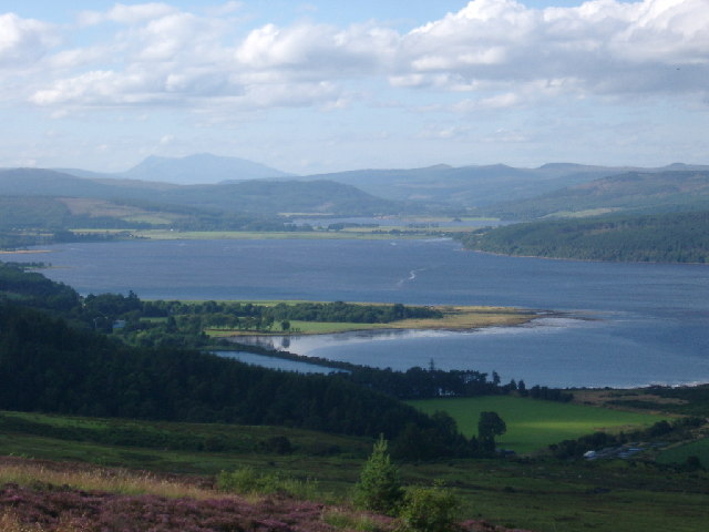 Wester Fearn Point, Dornoch Firth